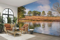 Misty lake wallpaper for walls

