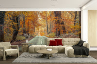Nature trail mural wallpaper

