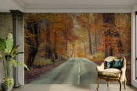 Tree-lined path mural wallpaper

