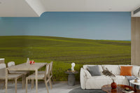 Blooming field mural wallpaper

