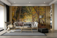Peaceful Autumn Trail Wall Mural with autumn leaves and trees

