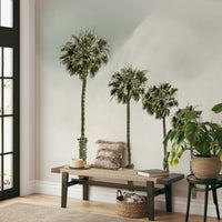  Coastal vintage mural featuring swaying palm trees

