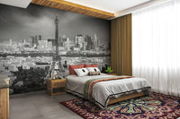 Rooftop panorama of Paris skyline in black and white wall mural


