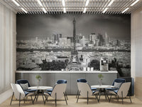 Clean matte mural wallpaper capturing Paris citylines


