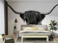 Highland cow wall mural with bold contrast and details

