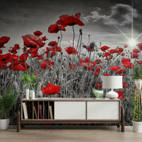 Idyllic poppies in sun mural for a relaxing atmosphere

