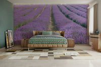 Soft purple tones bringing natural elegance to your space

