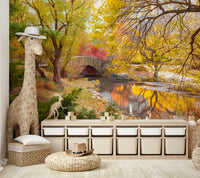 Stone bridge with reflections in calm water during autumn

