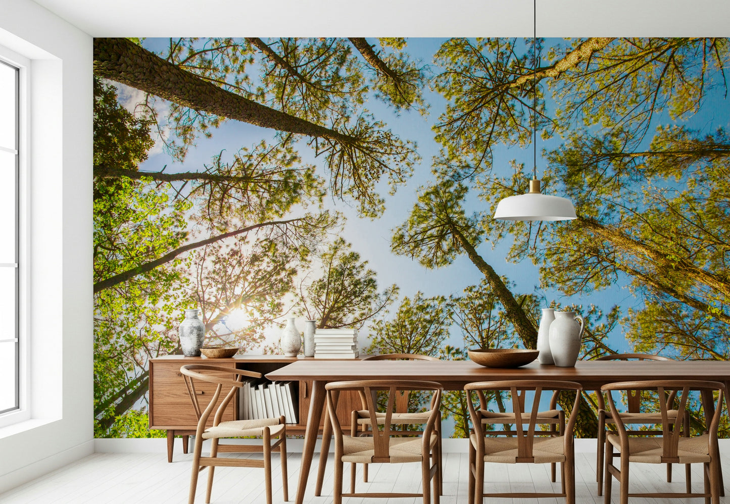 Skyward Trees Wallpaper for Walls: Nature's Beauty Wall Mural