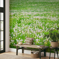 Dandelions in breeze-style wall mural
