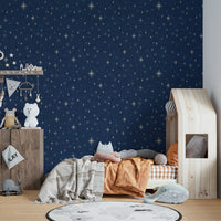 Vintage nautical mural wallpaper with stars
