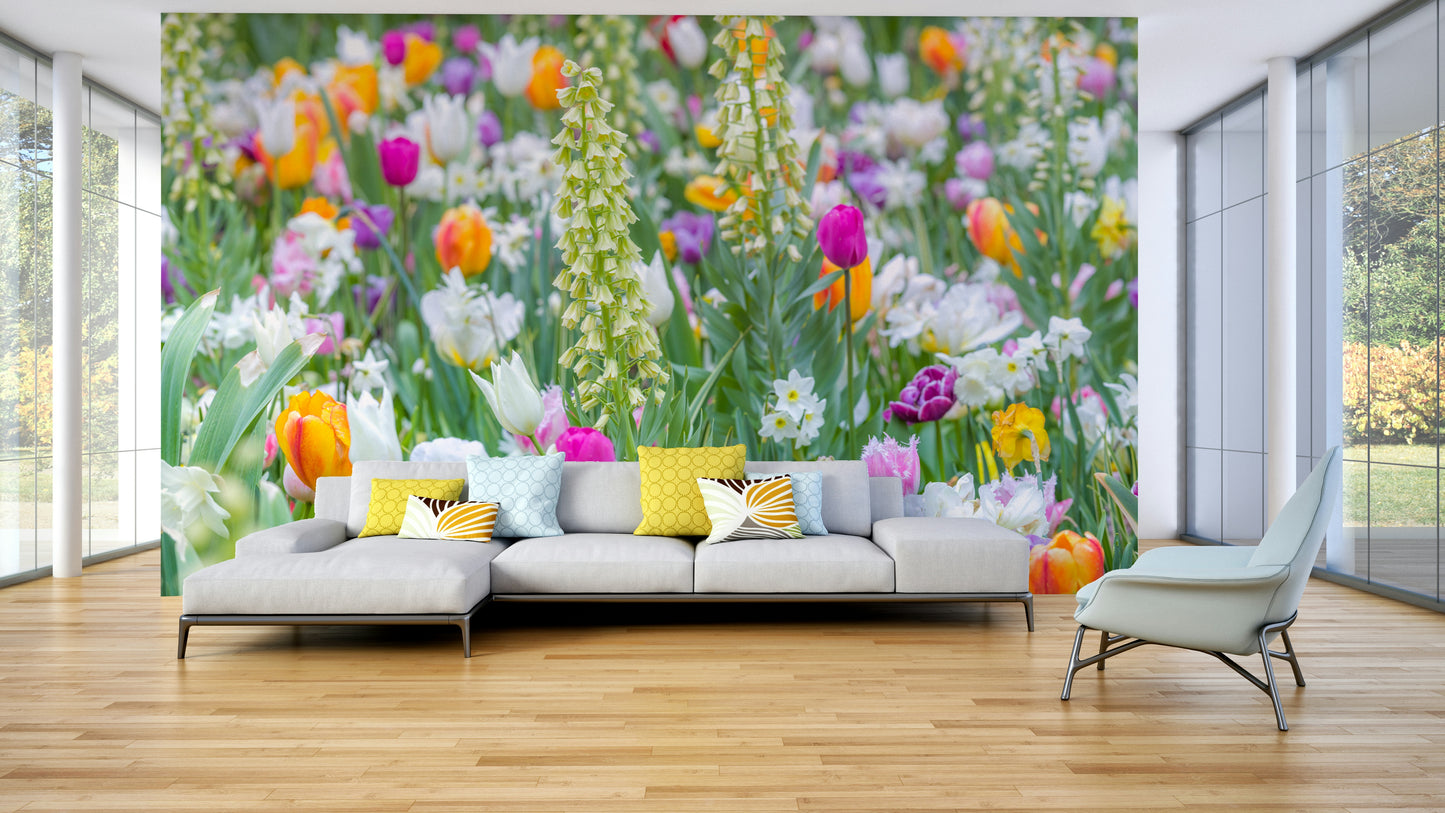 Daffodils adding a splash of yellow

