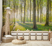 Beautiful sunlit forest landscape for a peaceful wall mural

