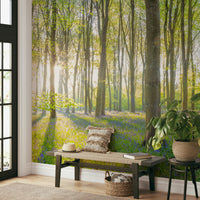 Calm woodland forest with sunlight in wall mural design


