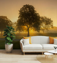 Sunrise wall mural with soothing warm tones for peaceful spaces


