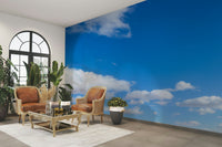 Soft gradient of blue hues for expansive wall mural effect

