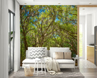 Oak Avenue canopy mural wallpaper
