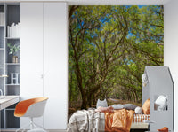 Natural forest path wall mural
