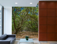 Classic oak trees wall design

