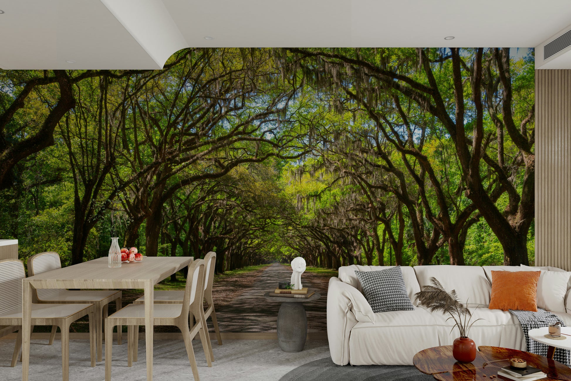 Spanish moss hanging from oak trees
