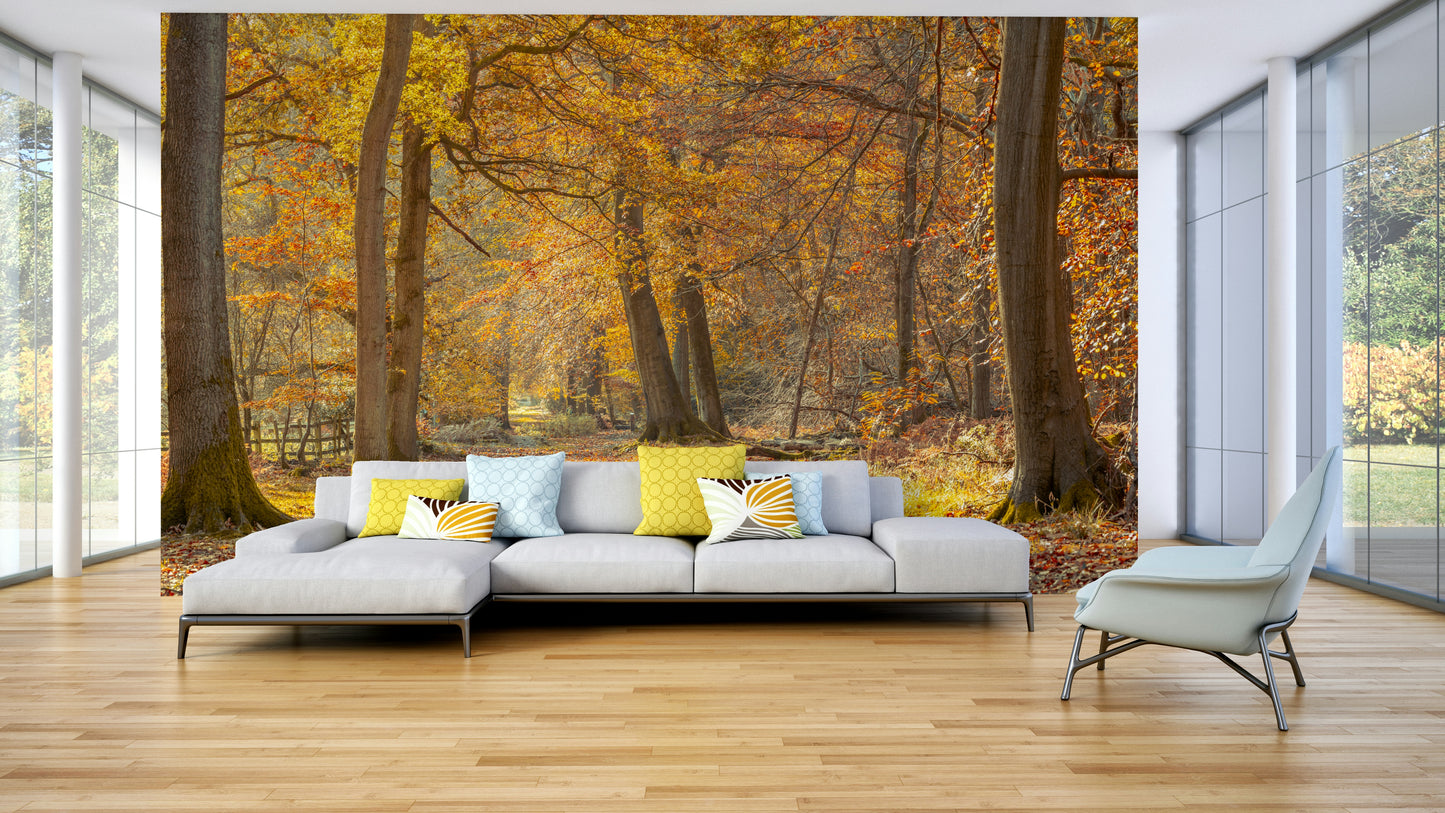 Artistic representation of an autumn forest
