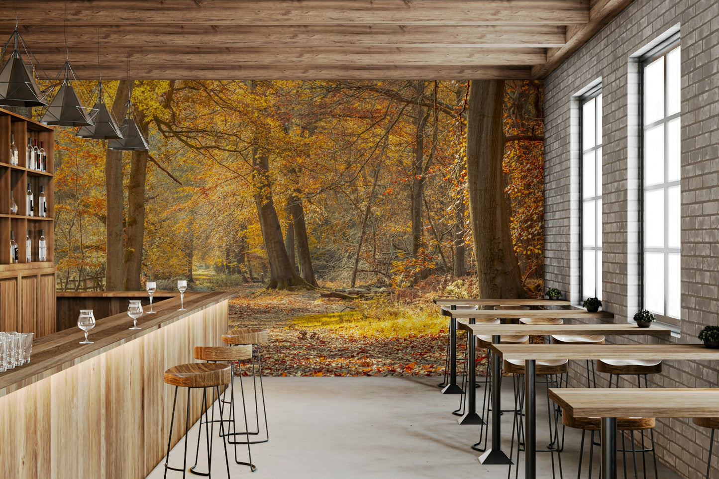 A peaceful and inviting natural setting
