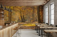 A peaceful and inviting natural setting
