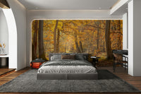 Tall trees with golden and brown foliage
