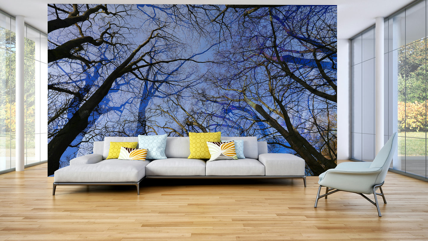 Skyward View: Abstract Tree Canopy Art Print Wall Mural