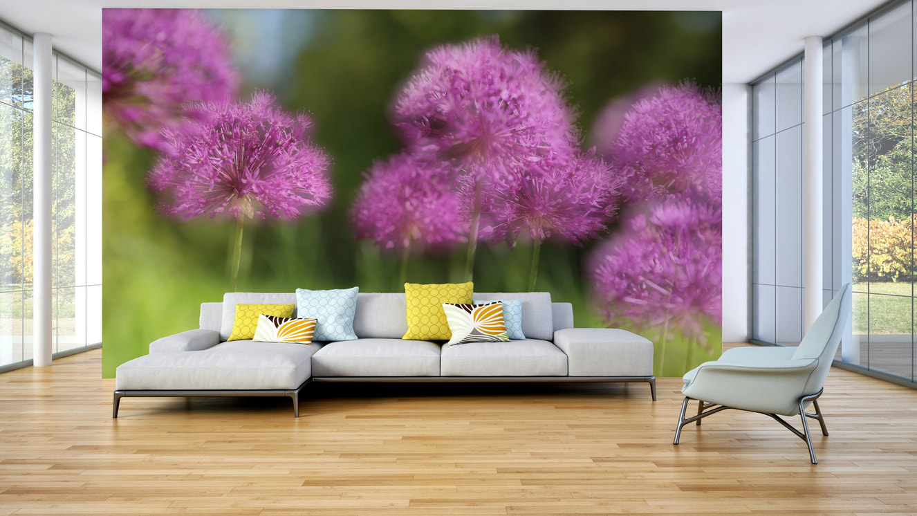 A realistic photo of a wall mural showing soft purple allium blooms with a blurred effect.

