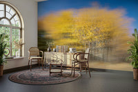 The room has a creative and dynamic atmosphere.

