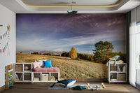 The mural is the focal point on a wall behind a simple, wooden bench.

