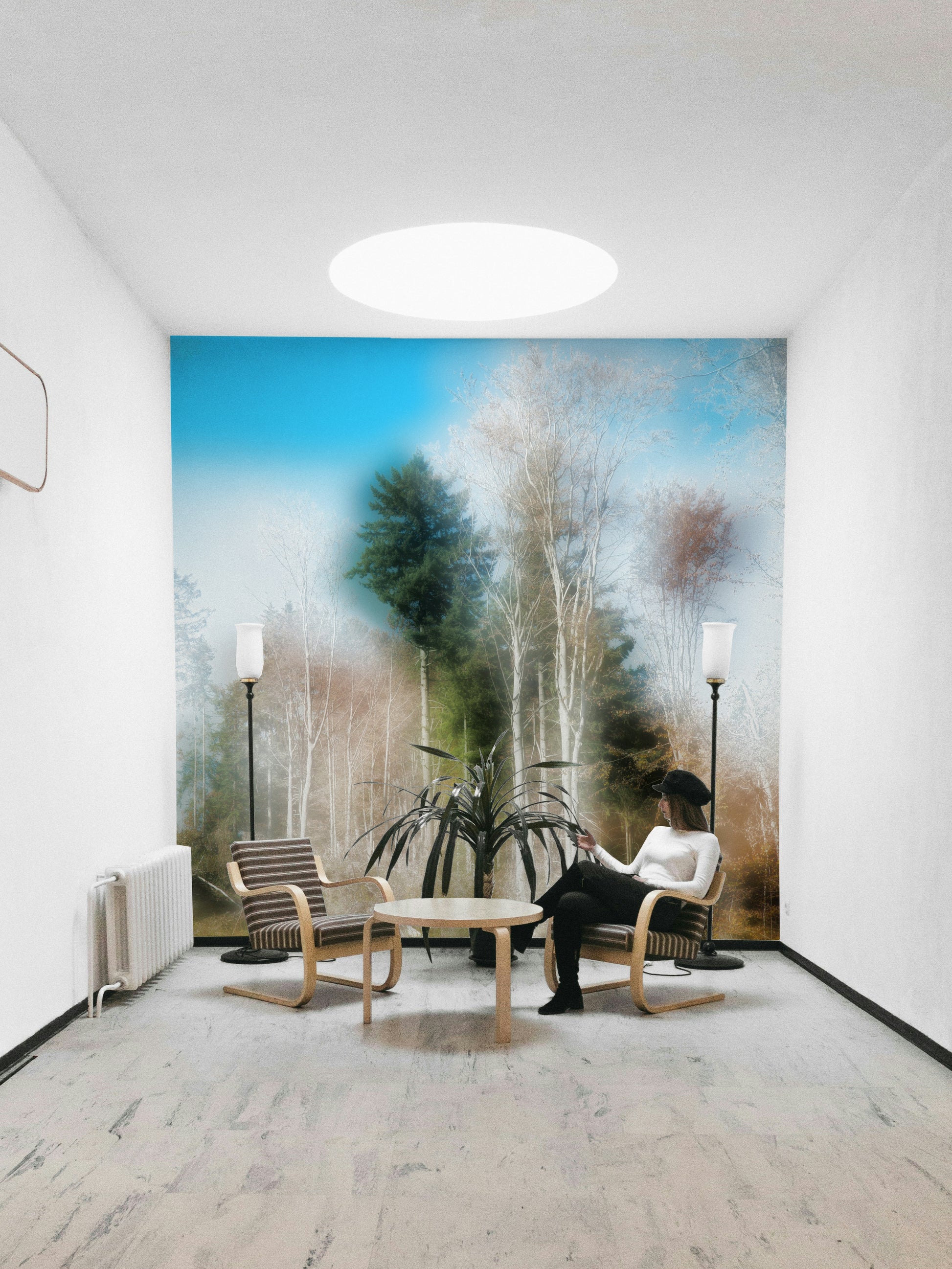 Peaceful forest tones wallpaper
