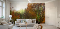 Nature-inspired fall mural wallpaper
