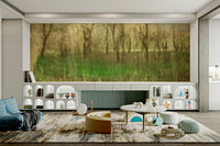 Quiet nature wallpaper for walls
