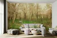 Calm woodland wall wallpaper
