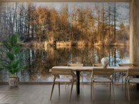 Quiet fall landscape wall mural
