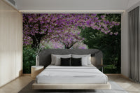 Spring forest pathway wallpaper
