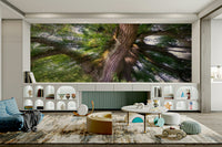 Nature photography wall wallpaper
