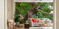 Oak tree canopy mural wallpaper
