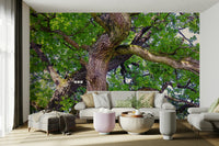 Calm green nature mural wallpaper
