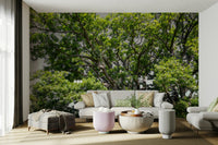 Upward tree view wallpaper design
