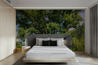 Calm oak tree wallpaper for walls

