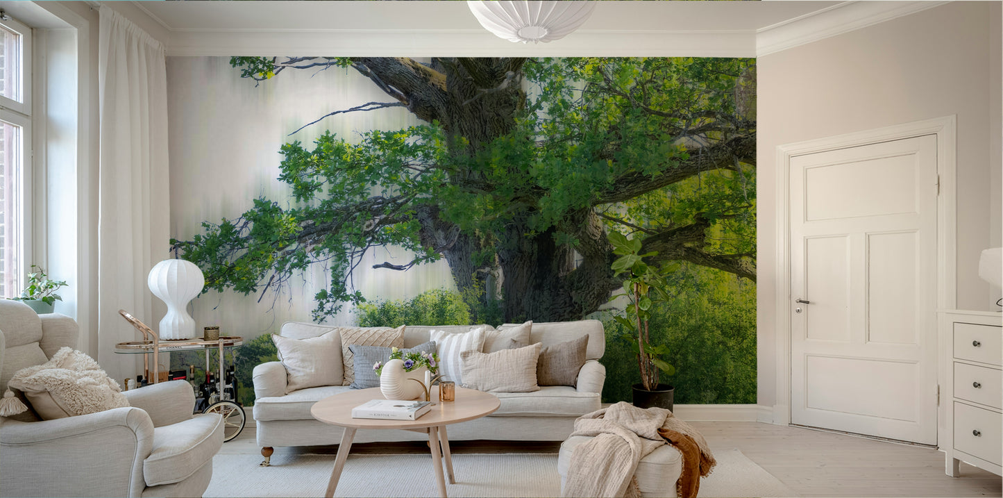Calm outdoor scene mural wallpaper
