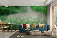 Peaceful path through green trees
