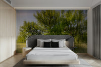 Calm trees in filtered light mural
