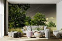 Serene trees under clouds mural
