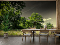 Natural contrast wall mural design
