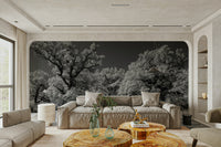 Grayscale landscape mural wallpaper
