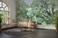 Tranquil trees and grass wallpaper
